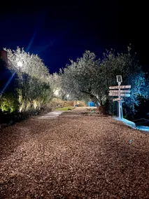 Hotel Riviera dei Fiori - Image 4