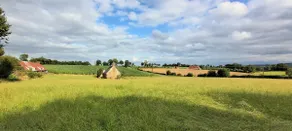 Small, simple, isolated, private house, without neighbors - Image 2