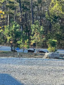 Little Cedar Lodge - Image 4