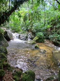 Casa da Montanha Ranch - Image 5