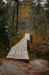 Fireplace, nature reserve & privacy at Kustvy - Image 5