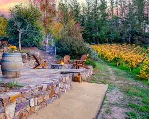 Stunning Sauna Cottage Retreat on Private Vineyard - Image 5