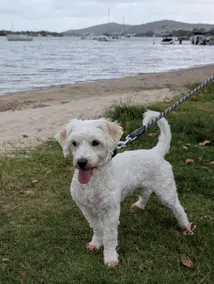 River walks - Pet Friendly on Gympie Terrace - Image 5