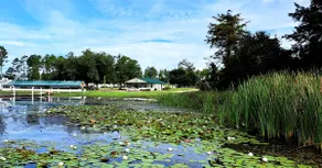Lake Seminole cabin, 1 mile to Big Jims boat ramps - Image 4