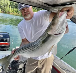 Lake Life is better at Angler's Retreat! - Image 5