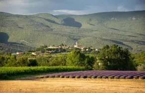 House in the Heart of the Luberon Ochres - Image 2