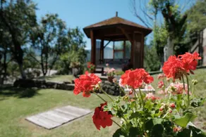 Casa Amalia Tocile -Sadu - Image 5