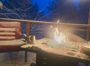 Serenity now in the Forest - Image 4