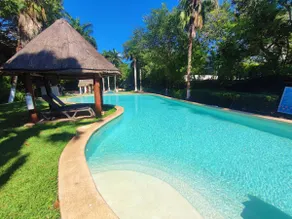 Tropical Oasis - Image 3