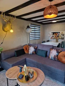 Chalet het Gouden Hert in Putten - Image 2