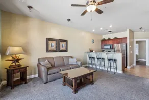 The Honey Badger Suite at Delton Grand - No Stairs - Image 4