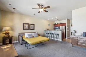 The Honey Badger Suite at Delton Grand - No Stairs - Image 5