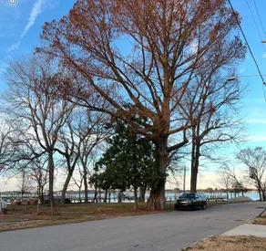 The Love Nest on the Neuse - Image 4