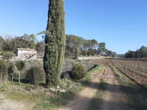 Bastidon-les-Esclauveoux - Image 4