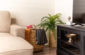 Cozy 3-Bed Gem in Madison - Image 2