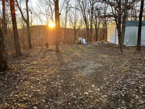 Shouse in the woods near the lake - Image 3