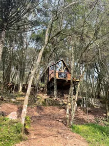 Araucária Cottage - Image 3