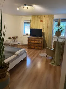 Schubert Vacation Rental - Image 5