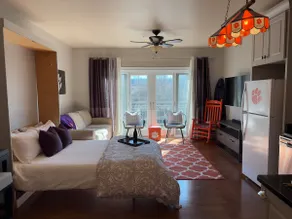 Amazing Clemson Apartment near Esso - Image 4