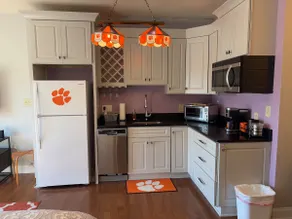 Amazing Clemson Apartment near Esso - Image 3