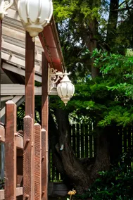The Lantern - Image 3