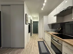 Between Land and Sea - Image 4