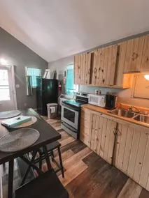 Mineral Springs Lake Resort- Cabin #3 - Image 4