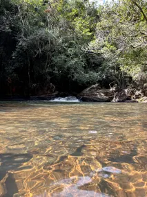 Canto das Águas Chalet - Image 3