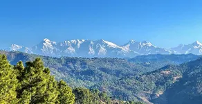 Dhyan Anand Homestay - Image 4