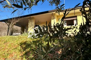CÀ DEGLI OLIVI - Cottage among the olive trees in the village - Image 2