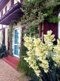 Barwy Morza - cottages, terrace, barbecue - Image 5