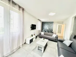 Large flat 8 guests · Terrace · AC · Eurexpo 15mn - Image 4