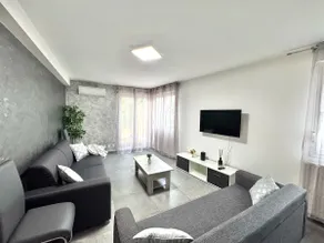 Large flat 8 guests · Terrace · AC · Eurexpo 15mn - Image 3