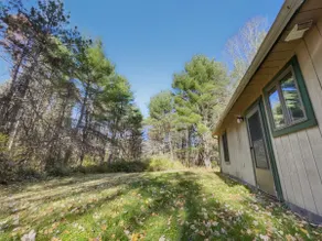 Forest Haven - Image 3