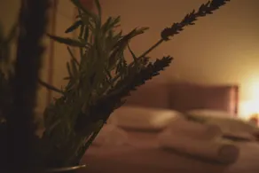 Lavender House - Image 4