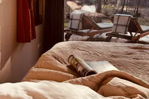 Regge's Lodge - disconnect and relax in the forest - Image 5