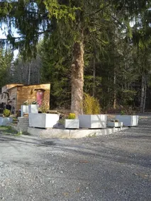 Frog Chalet - Image 2