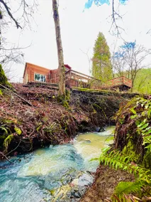 Forest Dream House Tree House at Pachamama Farm - Image 5