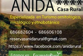 Anida Cottage - Image 2