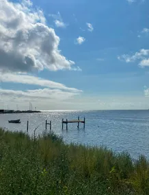 Seaside getaway. Only 25 minutes from Malmø and Denmark - Image 5