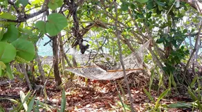 Cozy Cabin Retreat Private Sea Access Plunge Pool - Image 5