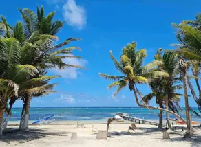 Central apartment right on the beach - Image 2