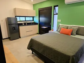 Jungle and Sea Loft. Jacuzzi - 8 km from the beach - AC - Image 4