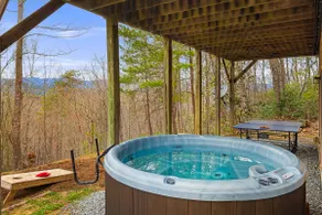 Pet Friendly Home near Lake Lure - Image 3