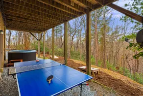 Pet Friendly Home near Lake Lure - Image 4