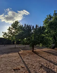 Casa Rural Hanega - Image 5