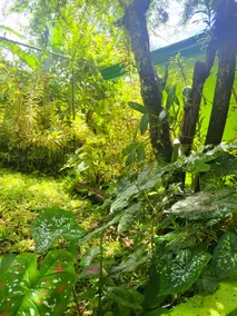 Villa Del Sol - Image 4