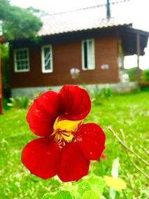 Cabana Real Rancho Campanário [Campanário Ranch Royal Cabin] - Image 2
