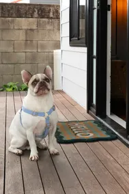 The Maryville Doll’s House | Family & pet friendly - Image 3