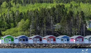 Lime, Pet Friendly, Cottage 10 - Image 2